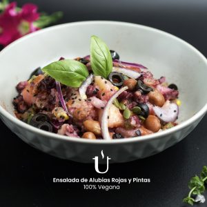 Ensalada de Alubias Rojas y Pintas Vegana Raggu A