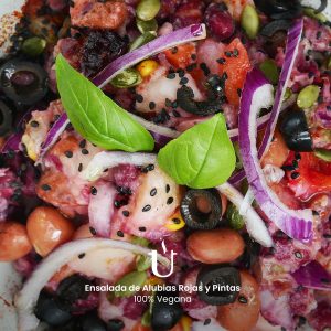 Ensalada de Alubias Rojas y Pintas Vegana Raggu B