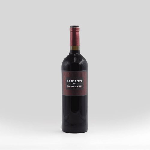 La Planta Ribera del Duero 2020